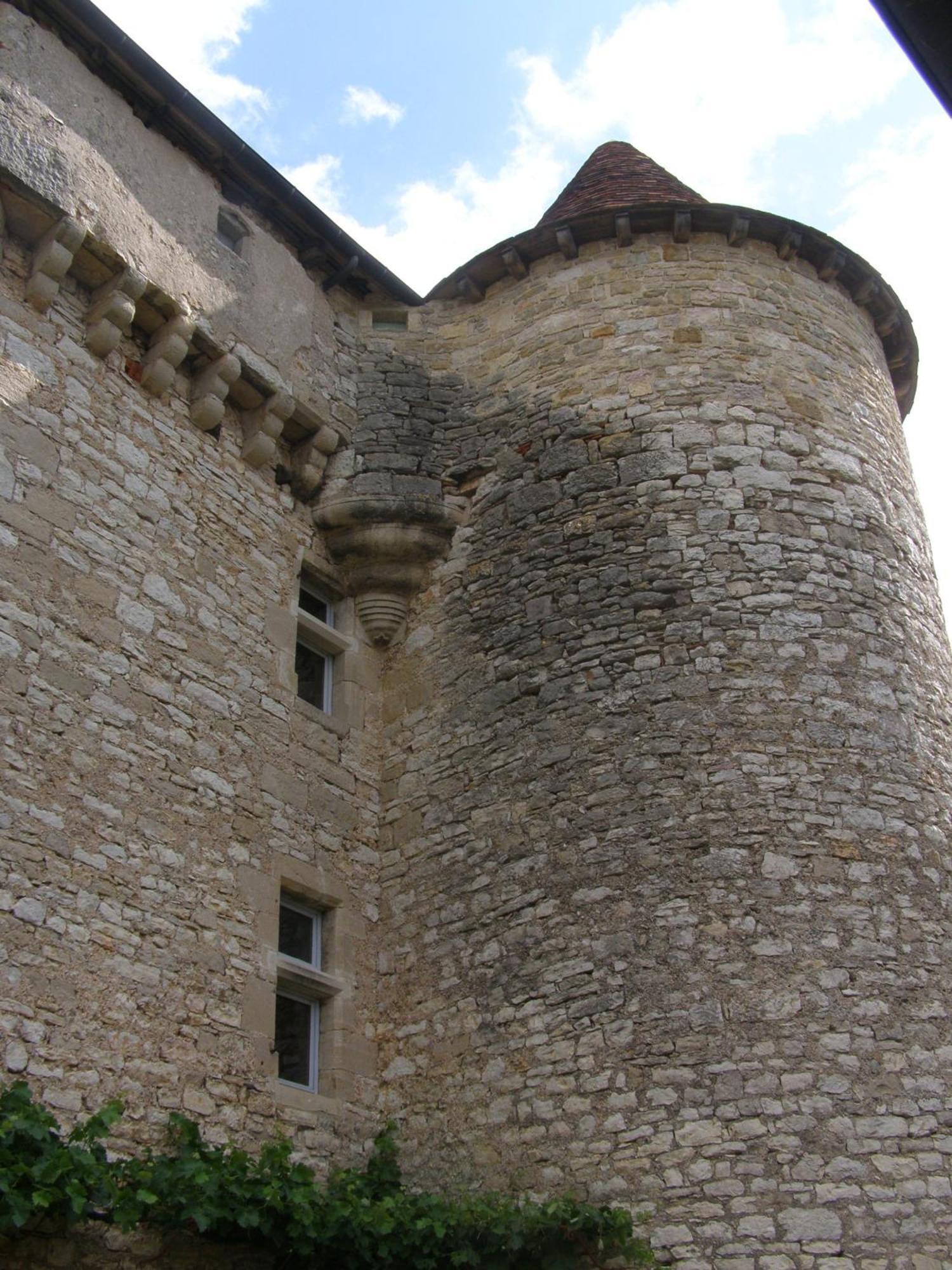 Chateau De Camboulan アンベラック エクステリア 写真