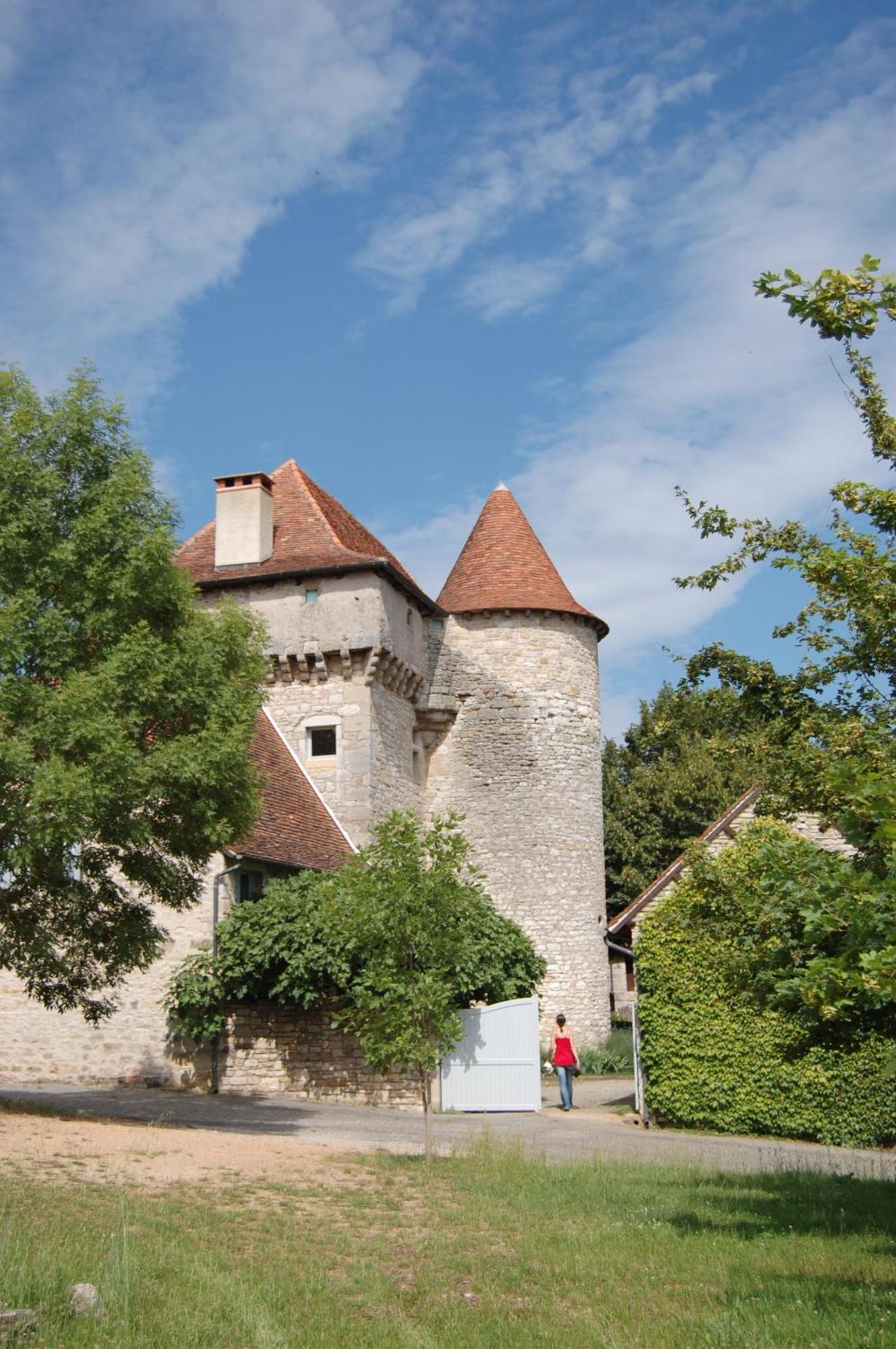 Chateau De Camboulan アンベラック エクステリア 写真